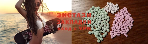 индика Надым