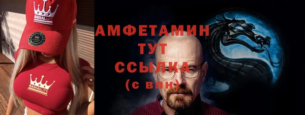 индика Надым