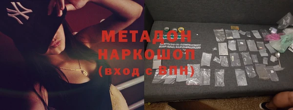 индика Надым