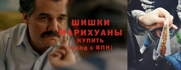 индика Надым