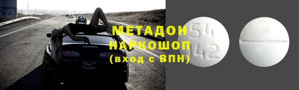 индика Надым