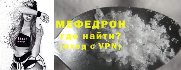 индика Надым