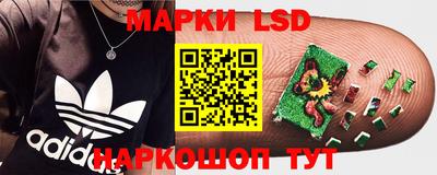 apvp Беслан