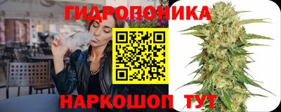 спиды Бийск