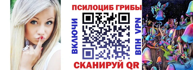 наркошоп  ссылка на мегу вход  Псилоцибиновые грибы MAGIC MUSHROOMS  Дзержинск 