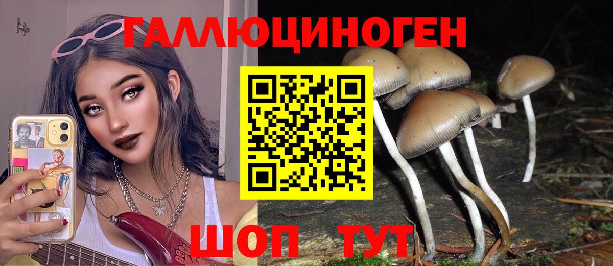 Галлюциногенные грибы ЛСД Дзержинск