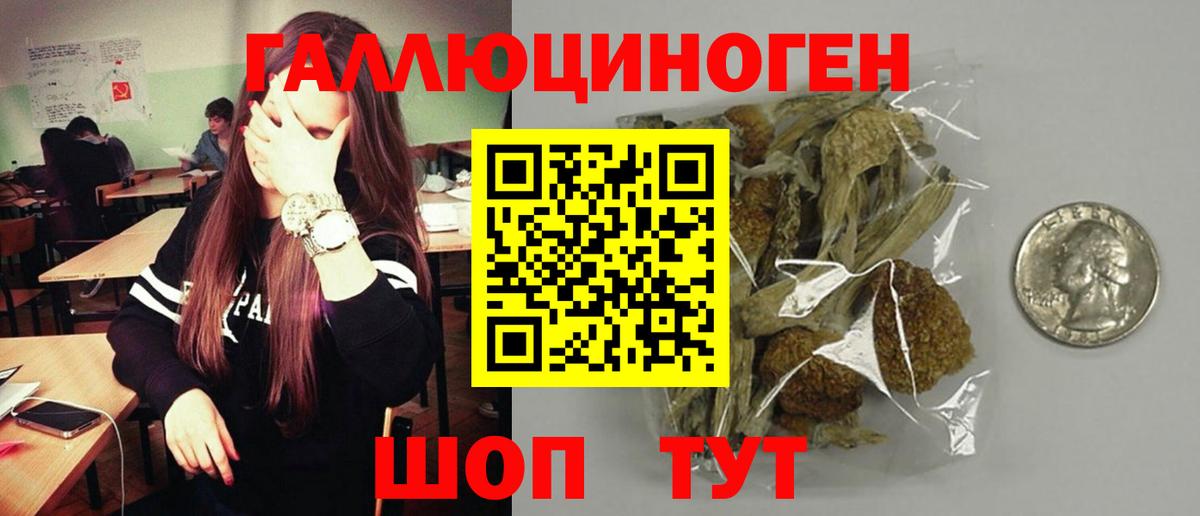 Псилоцибиновые грибы Psilocybe  Вход с VPN  Дзержинск 